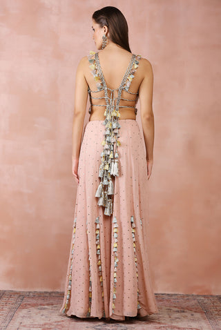 Rose pink embroidered choli and sharara