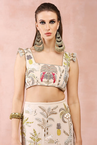 Stone embroidered choli and skirt