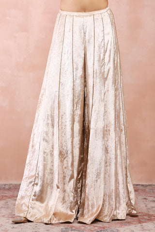 Stone embroidered choli with sharara