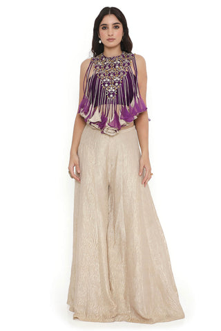 Purple embroidered bustier and sharara