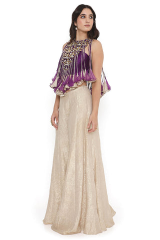 Purple embroidered bustier and sharara