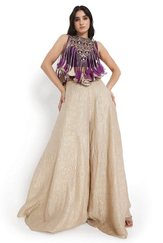 Purple embroidered bustier and sharara