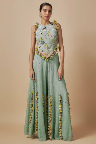 Powder blue embroidered back tie-up choli and sharara