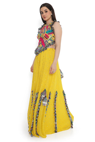 Yellow embroidered back tie-up choli with sharara