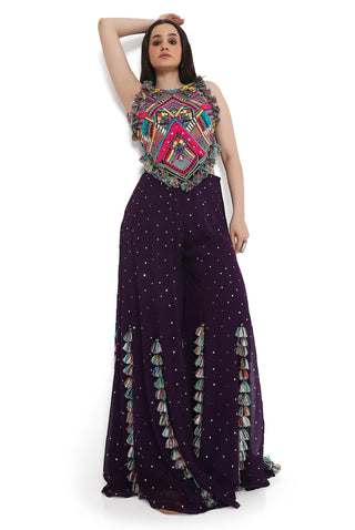 Purple embroidered back tie-up choli with sharara