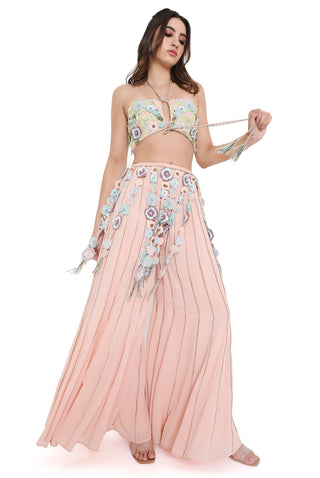 Rose pink embroidered bustier and sharara