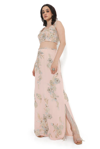 Blush pink embroidered choli with embroidered skirt