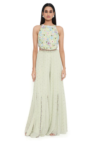 Aqua embroidered choli and sharara