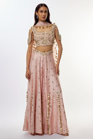 Pink sharara set