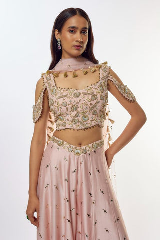 Pink sharara set