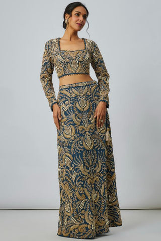 Blue choli skirt sets