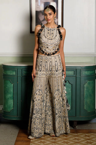 Off white embroidered back tie-up choli and sharara