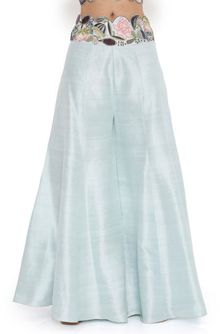 Powder blue embroidered sharara set