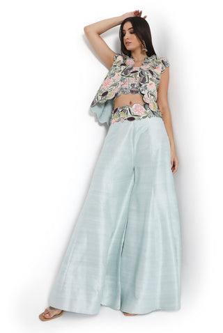 Powder blue embroidered sharara set