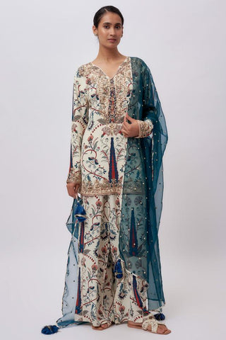 Blue kurta & pant sets