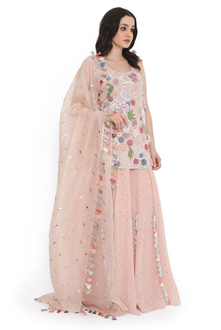 Rose pink kurta and sharara set