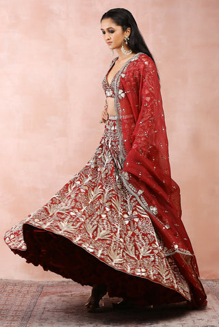 Dark red bagh embroidered lehenga set