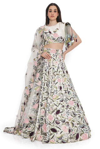 Ivory embroidered choli and lehenga set