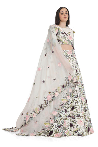 Ivory embroidered choli and lehenga set