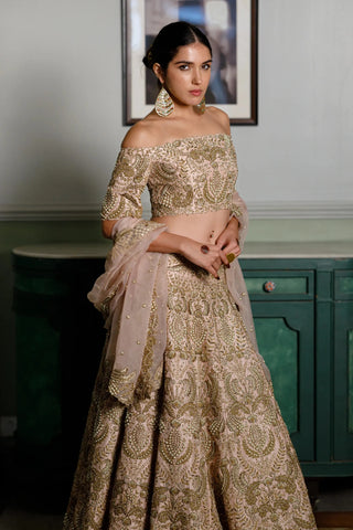 Blush pink embroidered choli and lehenga with dupatta