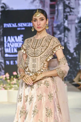 Blush pink embroidered back tie-up choli with lehenga and dupatta
