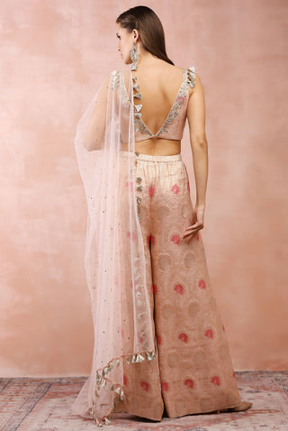 Rose pink embroidered choli and palazzo set