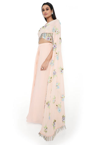 Peach embroidered choli and pre-stitched skirt
