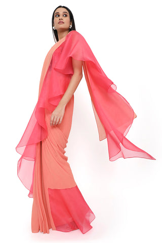 Peach 3d floral embroidered choli and saree