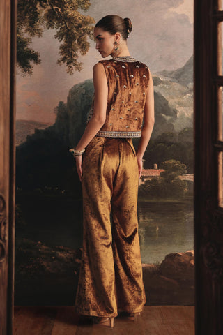 Co-ord Set Party Wear for Contemporary Wear - Shimmering Gold Co-ord Set by Payal & Zinal