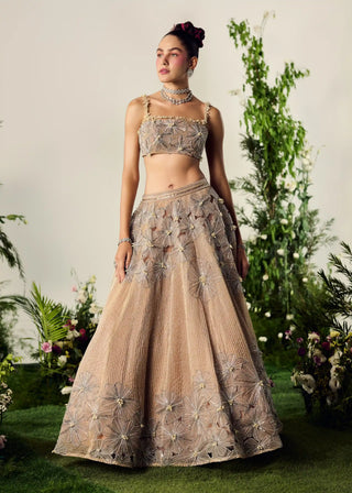Beige organza lehenga and blouse
