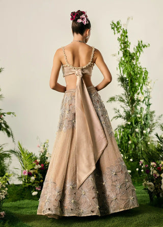 Beige organza lehenga and blouse