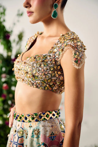 Multicolor crystal embroidery lehenga set