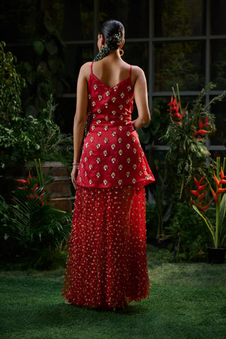 Red embroidered kurta and flared pant