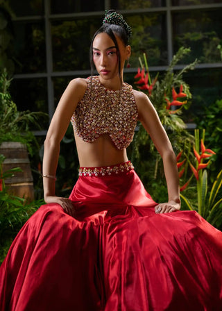 Red sleeveless blouse and lehenga