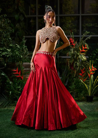 Red sleeveless blouse and lehenga