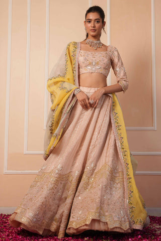 Pink dil se alia zardosi lehenga