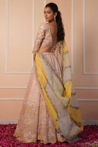 Pink dil se alia zardosi lehenga