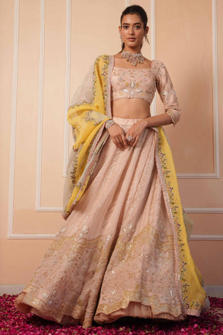Pink dil se alia zardosi lehenga