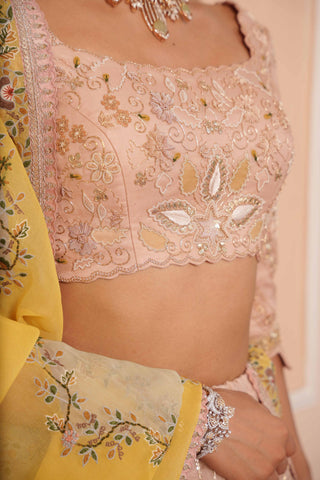 Pink dil se alia zardosi lehenga