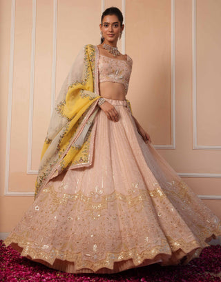 Pink dil se alia zardosi lehenga