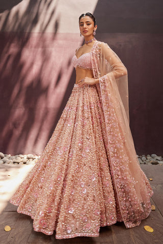Lehenga Set For Indian Wedding - Pink Charis Lehenga by Prevasu