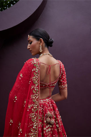 Lehenga Set For Indian Wedding - Red Lovebirds Lehenga Set by Prevasu