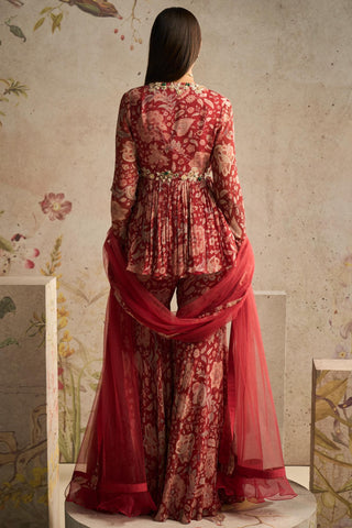 Red awespiring icon gharara set