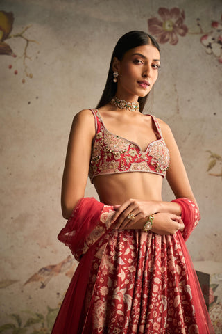 Red demi icon lehenga set