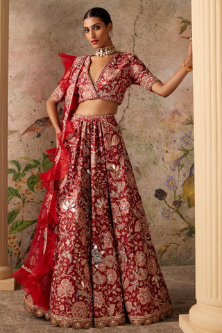 Red ace era lehenga set