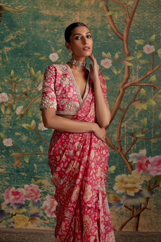 Pink flamboyance era saree set