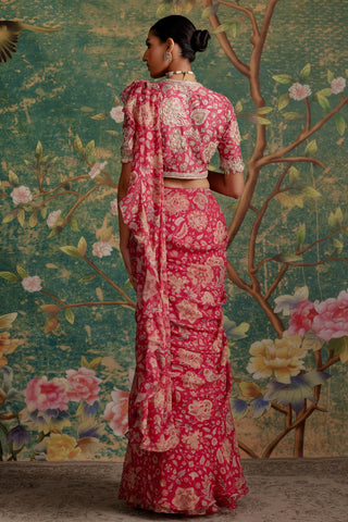 Pink flamboyance era saree set