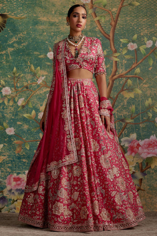 Pink starlet era lehenga set
