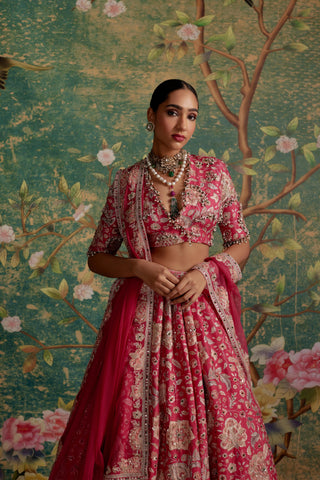 Pink starlet era lehenga set