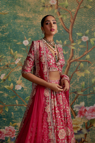 Pink starlet era lehenga set